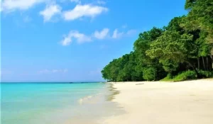 radhanagar-beach