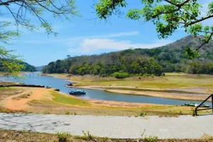 periyar-national-park