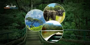 places to visit in Thekkady