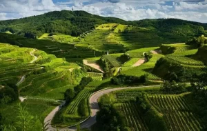 coorg