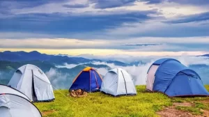 summer-camping-in-chail