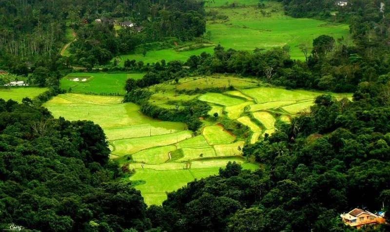 Coorg, Karnataka
