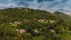 Kasauli-Bird-Sanctuary