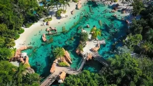 Discovery-Cove-orlando