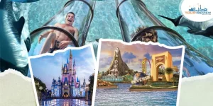 things to do in orlando