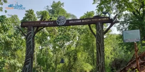 Bhadra-wildlife-Sanctuary