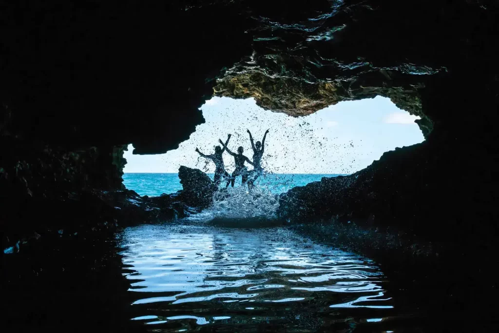 Animal-Flower-Cave