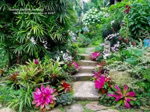 Appreciate-The-Variety-Of-Plants-In-Huntes-Garden