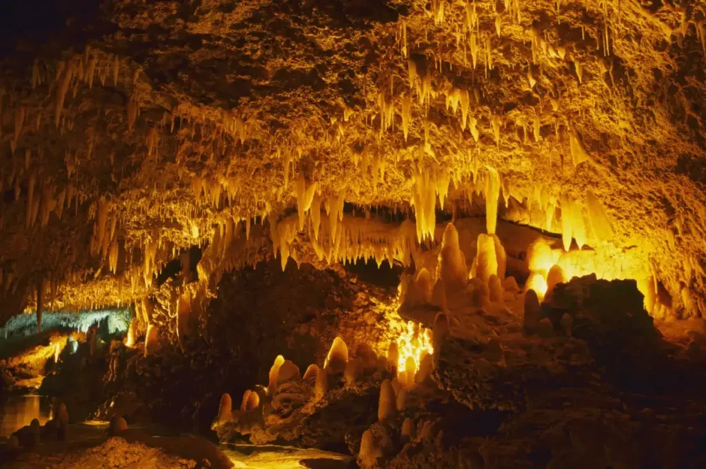 Explore-The-Harrisons-Cave-Eco-Adventure-Park
