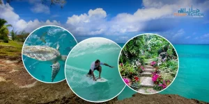 Barbados Adventure 8 Must-Do Activities For Your Trip