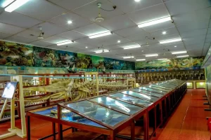 Marine Museum