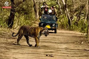 Things-to-do-in-Anamalai-Tiger-Reserve-1