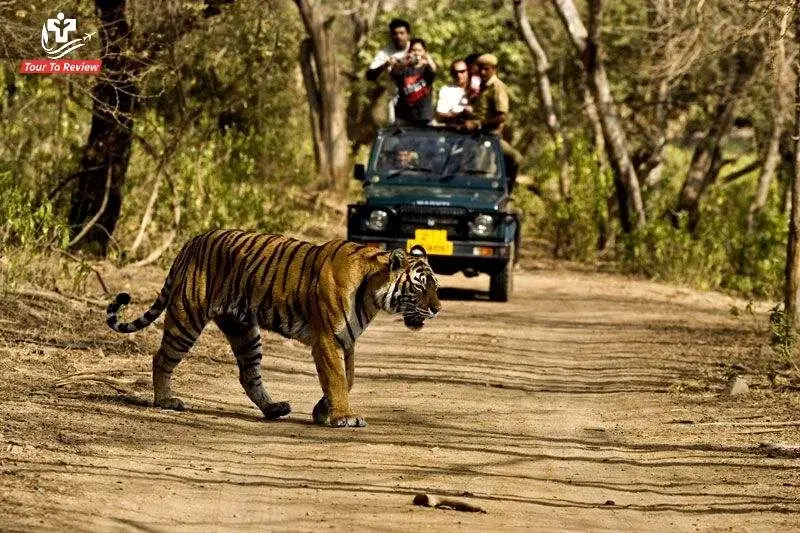 Things-to-do-in-Anamalai-Tiger-Reserve-1