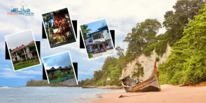 Luxurious Neil Island Hotels- Find Here!