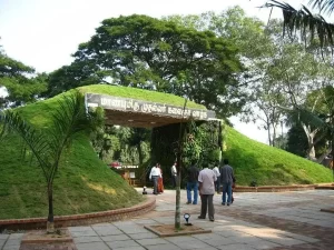 Botanical-Garden-of-Chennai