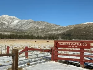 Silver Bell Campground, Colorado