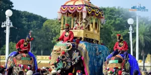 arjuna elephant