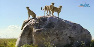 world's best national parks