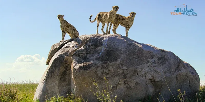 world's best national parks