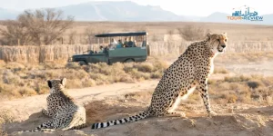 World’s Best Safari Parks