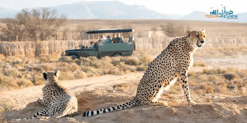 World’s Best Safari Parks